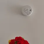 House In Historic Style Palace Appartamento Bari